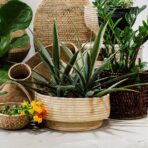 Natural Woven Dengu Basket - Image 8